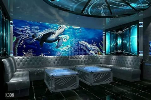 大同高端小时场KTV-浑源县ktv预定